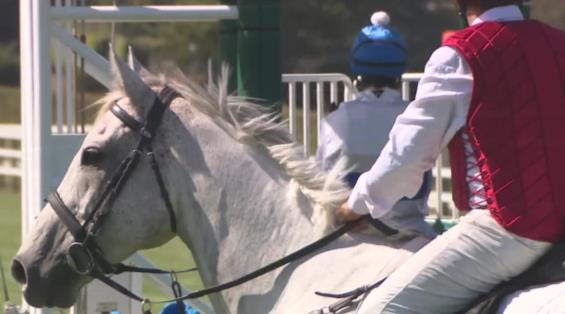 View video › View video ›