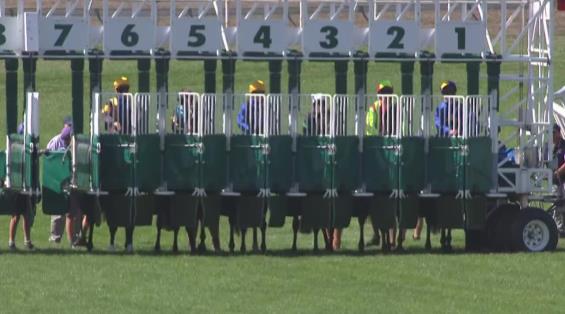 View video › View video ›