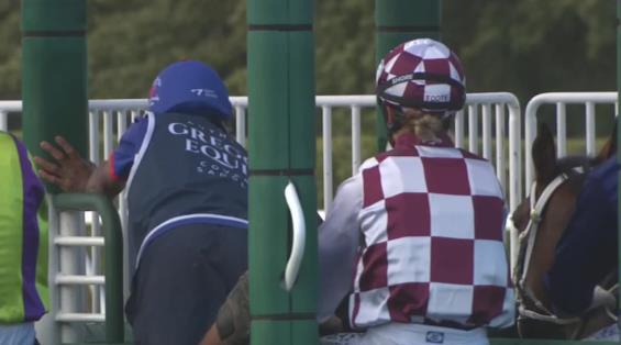 View video › View video ›