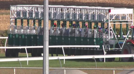 View video › View video ›