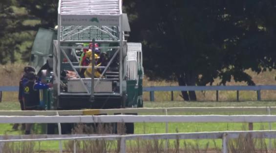 View video › View video ›