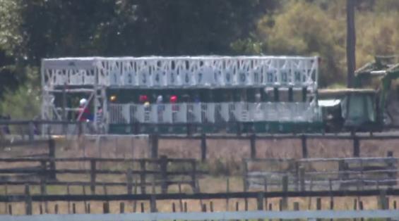 View video › View video ›