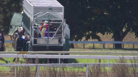 View video › View video ›