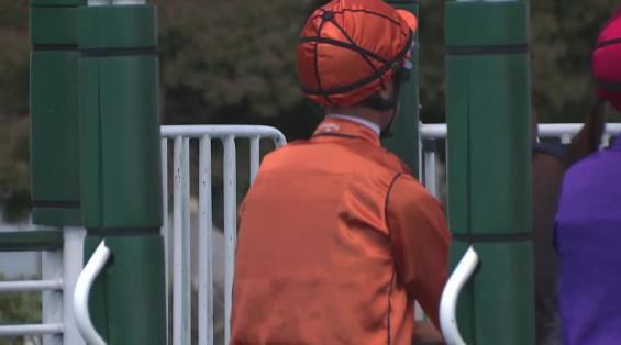 View video › View video ›