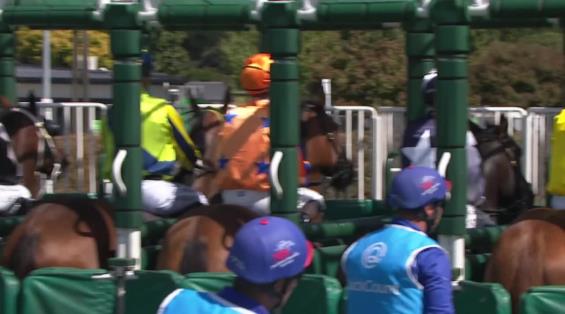 View video › View video ›