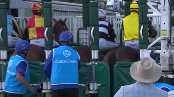 View video › View video ›