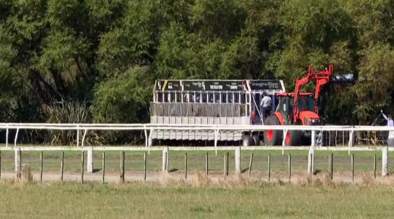 View video › View video ›