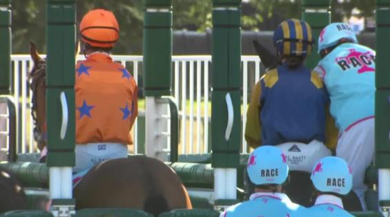 View video › View video ›