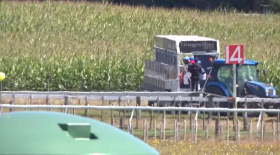 View video › View video ›