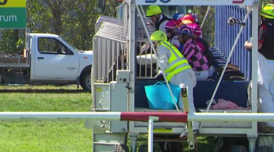 View video › View video ›