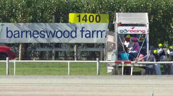 View video › View video ›