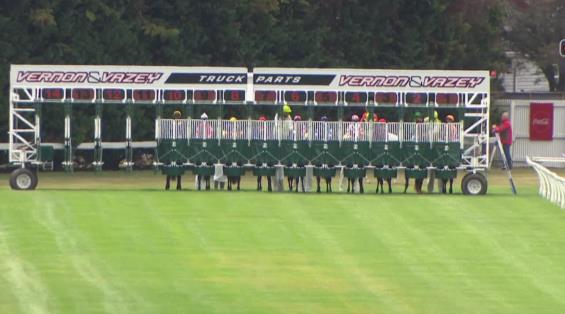 View video › View video ›