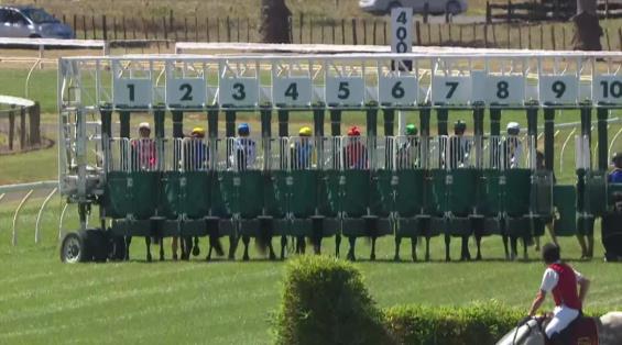 View video › View video ›