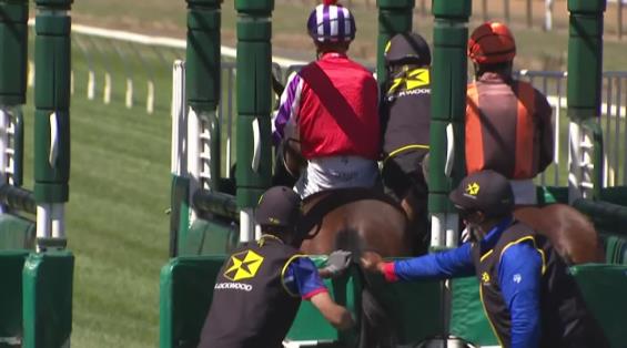 View video › View video ›