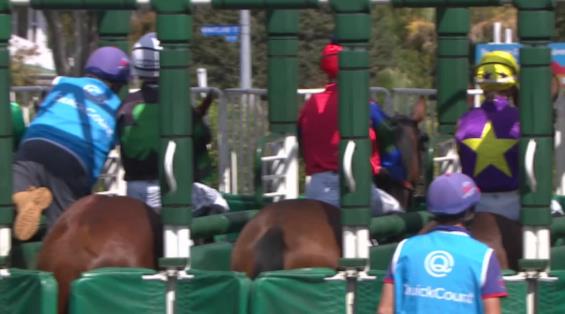 View video › View video ›