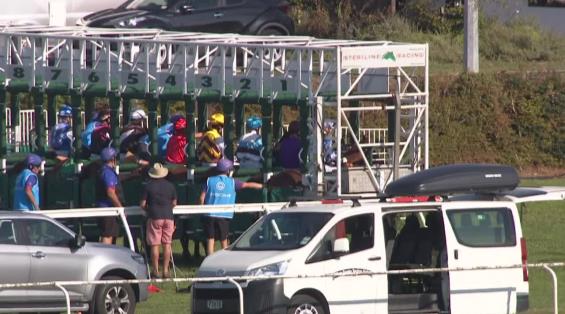 View video › View video ›