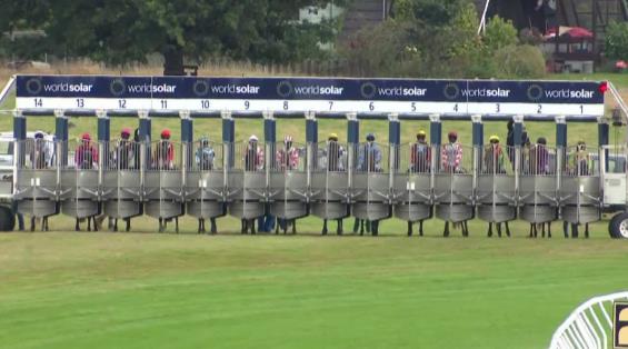 View video › View video ›