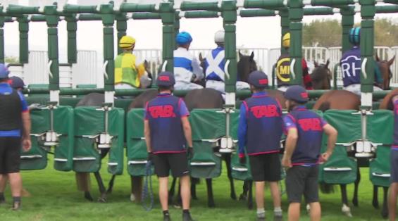 View video › View video ›