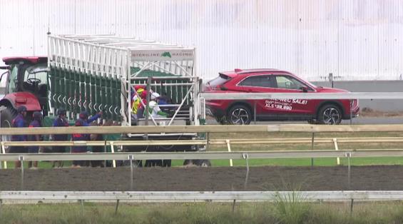 View video › View video ›