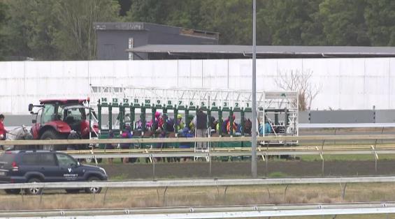 View video › View video ›