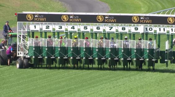 View video › View video ›