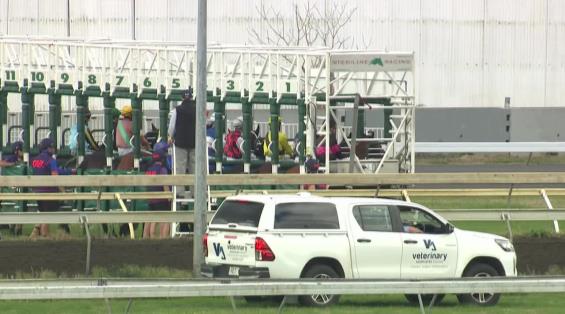 View video › View video ›