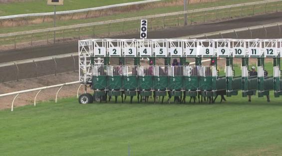 View video › View video ›