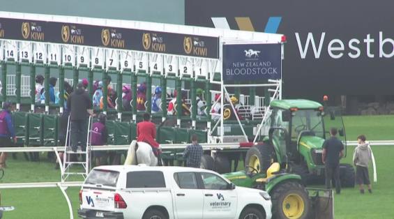 View video › View video ›