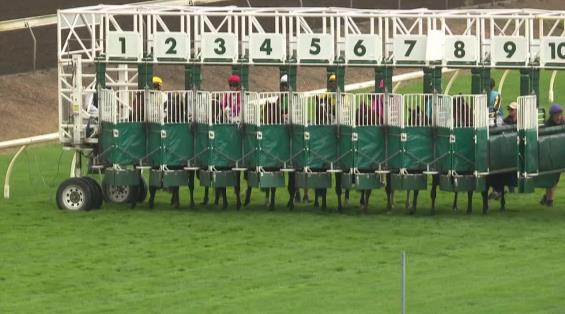 View video › View video ›