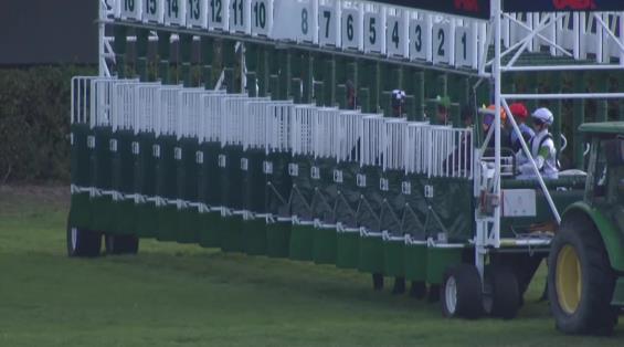 View video › View video ›