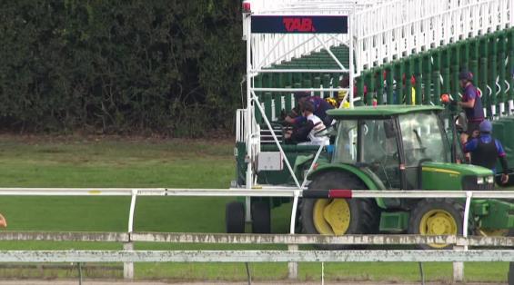 View video › View video ›