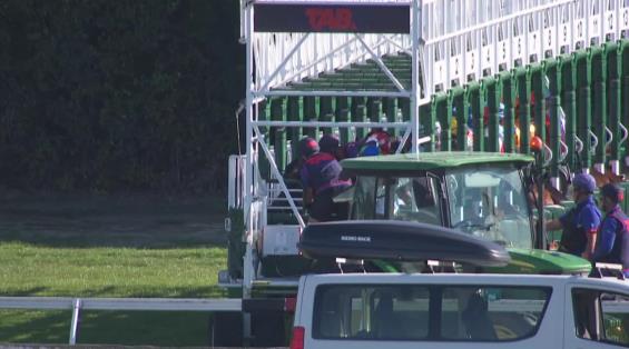 View video › View video ›