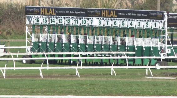 View video › View video ›