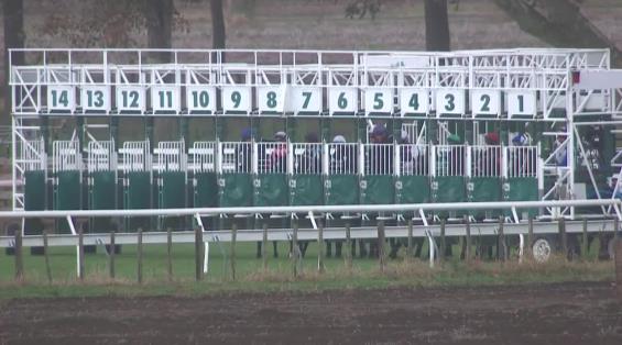 View video › View video ›