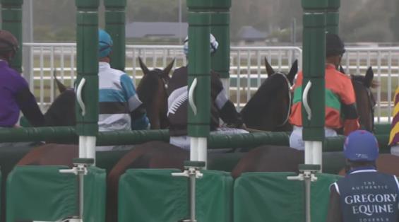 View video › View video ›