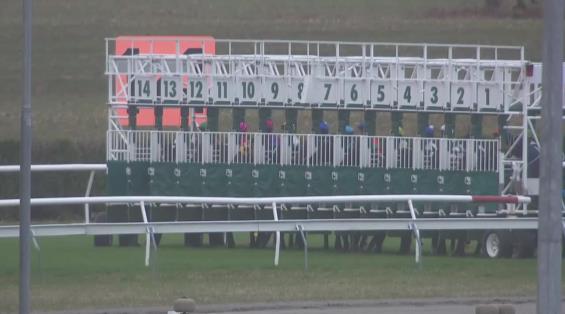 View video › View video ›