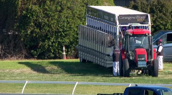 View video › View video ›