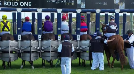 View video › View video ›