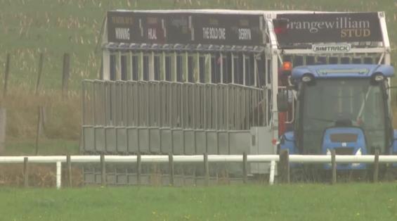 View video › View video ›