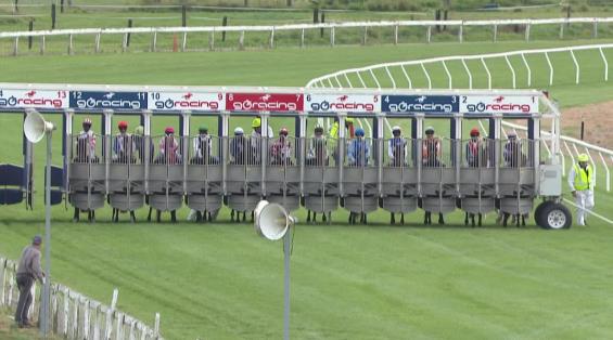 View video › View video ›