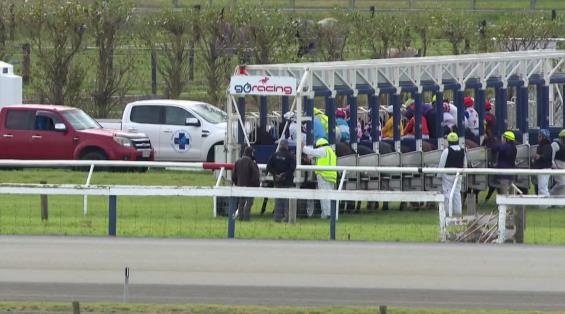 View video › View video ›