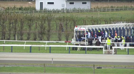 View video › View video ›