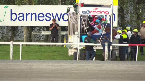 View video › View video ›