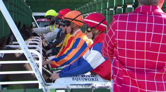 View video › View video ›