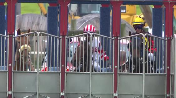 View video › View video ›