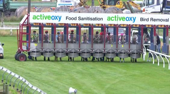 View video › View video ›