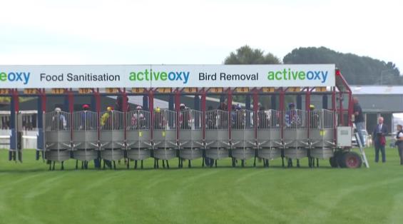 View video › View video ›