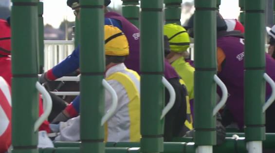 View video › View video ›