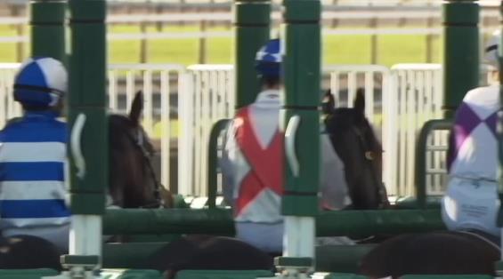 View video › View video ›