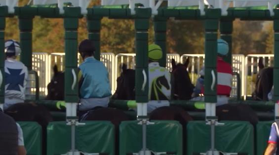 View video › View video ›